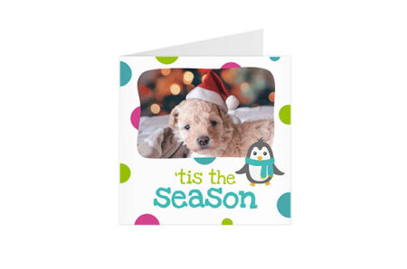 Postkaart Tis The Season