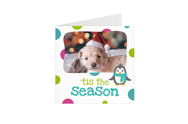 Postkaart_joul2-4 Postkaart Tis The Season