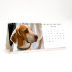 Classic1_lauakolmnurk_3