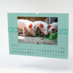 Kalender Maale A3 landscapejpg kaas