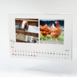 Kalender Maale A3 landscapejpg kaas