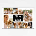 Oma pildiga termostass