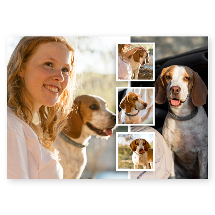 Trio LUX kalender oma pildiga