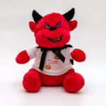 Oma pildiga kaisuloom