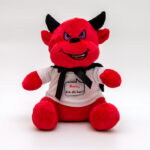 Oma pildiga kaisuloom