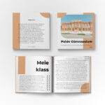 Klassi raamat – pruun